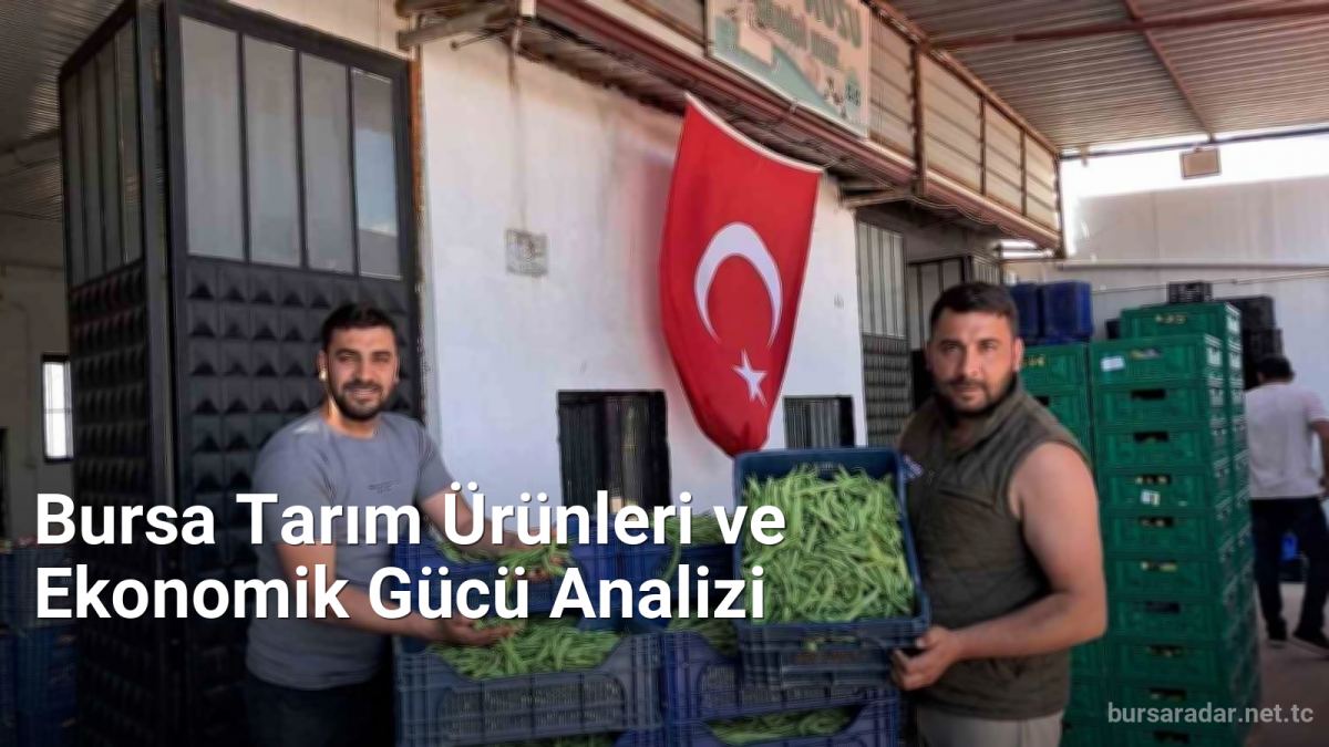 Bursa Tarım Ürünleri ve Ekonomik Gücü Analizi - bursaradar.net.tc